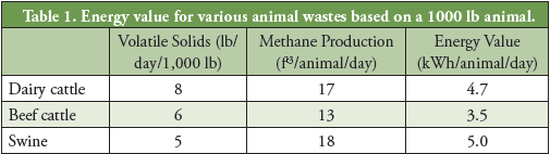 anaerobic-step2-table